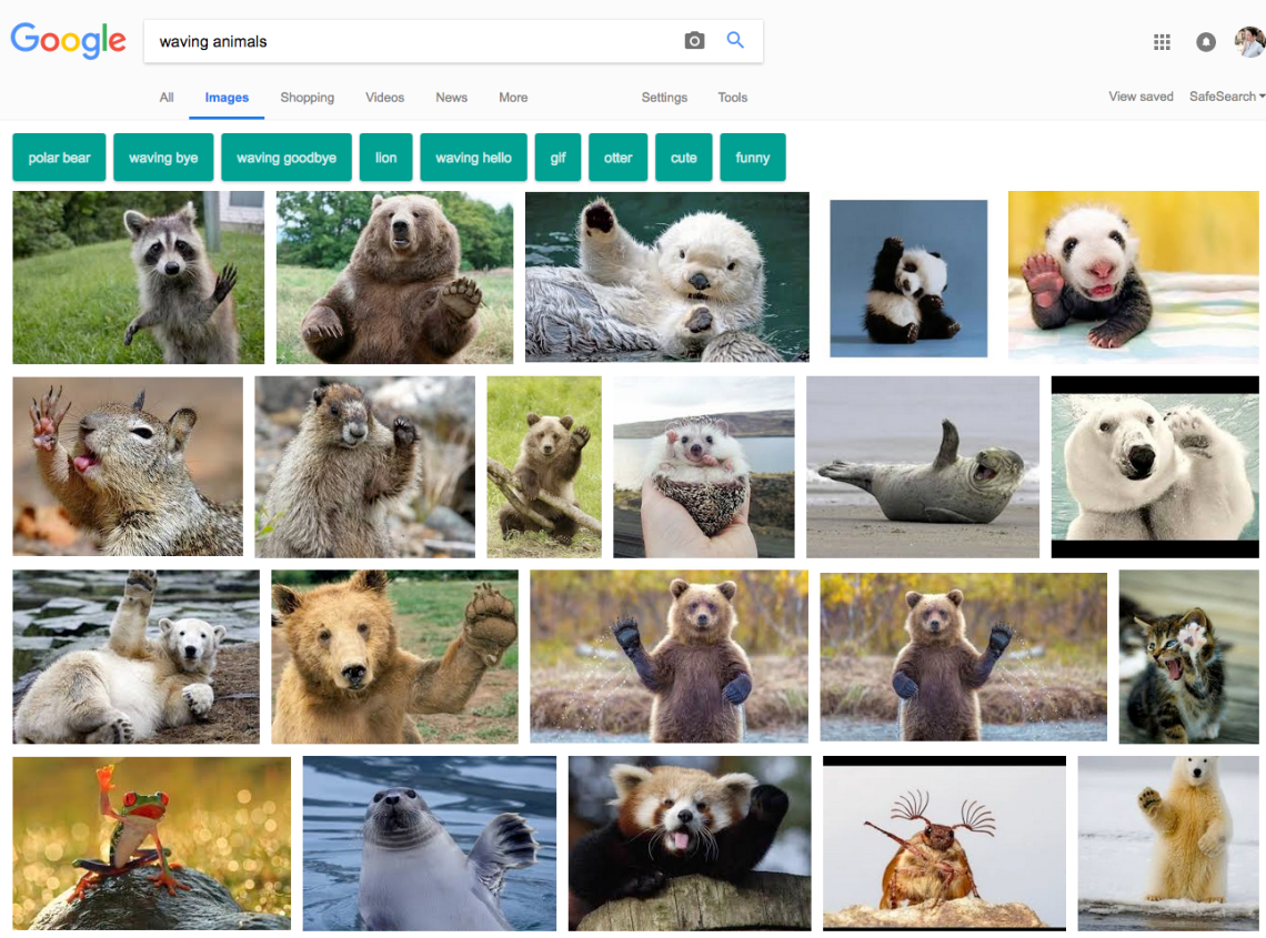 Screen Shot 2018-07-14 at 1.10.15 PM.png